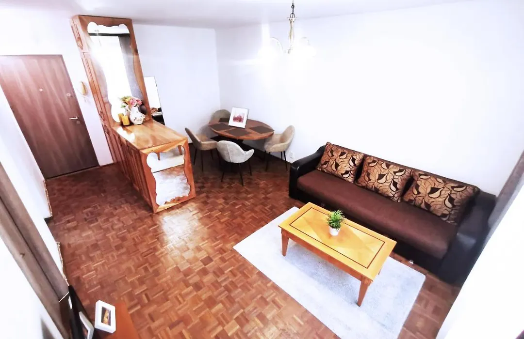 Cozy Apartment Sala Palatului-1